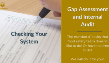 Gap-Assessment-and-Internal-Audit-Service-by-SFPM-Consulting