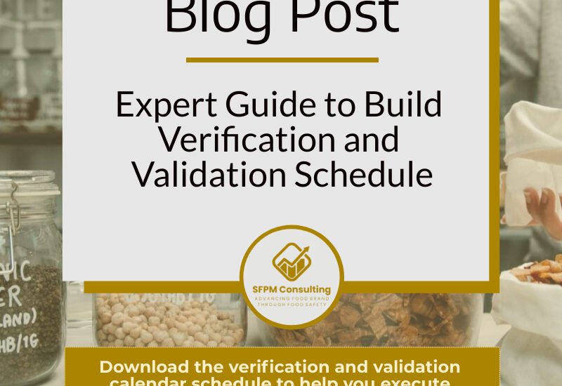 Expert Guide to Build Verification and Validation Schedule by SFPM Consulting